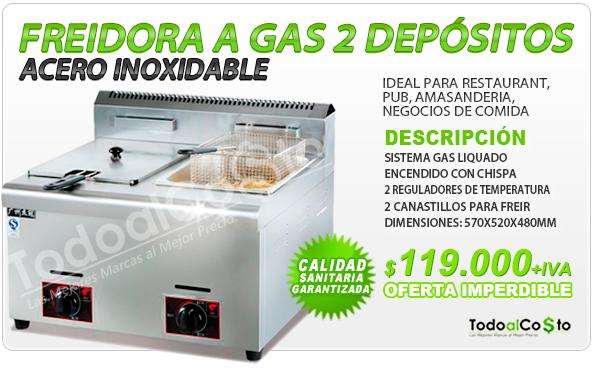 Venta de freidoras a gas en santiago